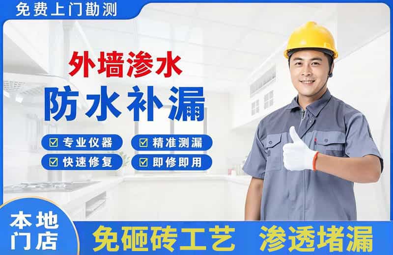 芦淞外墙渗水维修